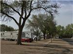 A row of trees next to the RV sites at CORRAL RV PARK - thumbnail