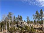 A boulder and trees at Custer's Gulch RV Park & Campground - thumbnail