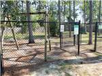 The fenced in dog area at BAY PALMS RV RESORT - thumbnail