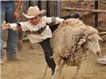 A kid in a cowboy hat mutton busting at SKY UTE FAIRGROUNDS & RV PARK - thumbnail