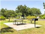 View larger image of Picnic table at campsite at BENTSEN PALM VILLAGE RV RESORT image #2