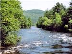 The flowing river surrounded by trees at SCHROON RIVER CAMPGROUND & LODGING - thumbnail