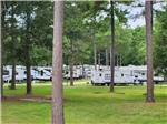 Trailers parked in sites at EDMUND RV PARK - thumbnail
