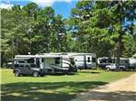 Cars and trailers parked on grassy sites at EDMUND RV PARK - thumbnail