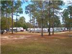 View of the campground at Edmund RV Park - thumbnail