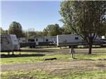 View larger image of A gravel campground site at MEMPHIS-SOUTH RV PARK  CAMPGROUND image #10