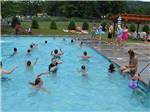 View larger image of People swimming in pool at TWIN GROVE RV RESORT  COTTAGES image #8