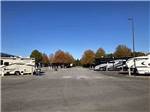 Trailers and motorhomes parked in paved sites at HOOVER RV PARK - thumbnail