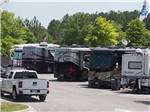A row of motorhomes in paved sites at HOOVER RV PARK - thumbnail