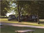 View larger image of A row of Class C motorhomes at KAMP KOMFORT RV PARK  CAMPGROUND image #5