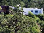 Various RVs parked at sites at RATON PASS CAMP & CAFE - thumbnail