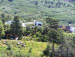 RVs amongst trees at RATON PASS CAMP & CAFE - thumbnail