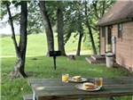 Sandwiches on a picnic table by a cabin - thumbnail