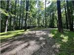 A gravel road leading to sites - thumbnail