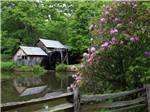Flowers and a building near a pond - thumbnail