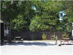 Space between campsites with lots of rooms for barbecues at DEER GROVE RV PARK - thumbnail