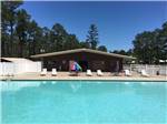 View larger image of Swimming pool with rainbow color umbrella at SUN ROAMERS RV RESORT image #2