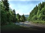 View larger image of A river surrounded by trees at SANDY RIVERFRONT RV RESORT image #10