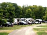 The road going thru the campground at WHITETAIL BLUFF CAMP & RESORT - thumbnail