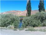 View larger image of View of mountains with green shrubbery on sides at WHISKEY FLATS RV PARK image #2