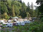 An aerial view of the campsites at LOON LAKE LODGE & RV RESORT - thumbnail