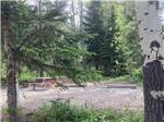 Campground seen through the trees at GLACIER MEADOW RV PARK - thumbnail