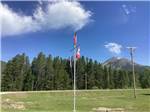 Flagpoles posted near campsites at GLACIER MEADOW RV PARK - thumbnail