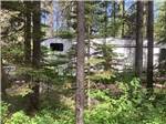 Fifth wheel obscured by trees at GLACIER MEADOW RV PARK - thumbnail