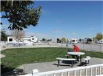 View larger image of Man sitting with his dog in the fenced pet area at AMBASSADOR RV RESORT image #2