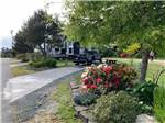 A line of paved RV sites at BANDON BY THE SEA RV PARK - thumbnail