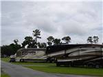 A row of motorhomes with grass at WILD FRONTIER RV RESORT - thumbnail