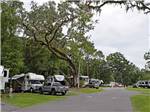 The road going to the RV sites at WILD FRONTIER RV RESORT - thumbnail