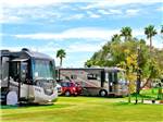 Parked RVs next to grass and trees at Shadow Hills RV Resort - thumbnail