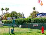 Fenced in dog park area at Shadow Hills RV Resort - thumbnail