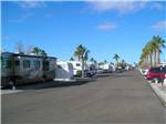 RVs and trailers at campground at ENCORE MESA VERDE - thumbnail