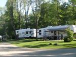 RVs in treed sites - thumbnail