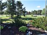 View larger image of Landscaped area looking towards campsites at DAVY LAKE CAMPGROUND image #10
