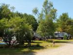 Tree lined sites at CAMP AT NEWFOUND LAKE - thumbnail