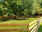 Fenced grass area at CAMP AT NEWFOUND LAKE - thumbnail