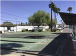 View larger image of The shuffleboard courts at PALM GARDENS 55  MH  RV RESORT image #5