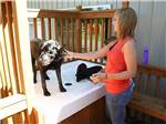 View larger image of A woman petting a black dog at TOUTLE RIVER RV RESORT image #6