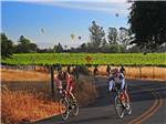 A group of people on road bikes with hot air balloons in the background at SONOMA COUNTY RV PARK-AT THE FAIRGROUNDS - thumbnail
