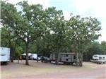 View larger image of A view of trees near RV sites at OAK GLEN RV PARK image #2
