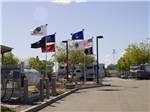 Flags Flying at park - thumbnail
