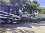 View larger image of A motorhome in an RV site at MAJESTIC OAKS RV RESORT image #10