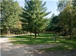 View larger image of Vacant campsites with trees at CHAPPARAL CAMPGROUND  RESORT image #9
