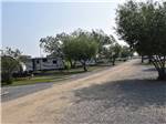 A row of travel trailers parked in sites at HERITAGE LAKE CAMPGROUND - thumbnail