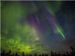 The northern lights glimmer in the night sky at GRANDE PRAIRIE REGIONAL TOURISM ASSOCIATION - thumbnail