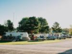 A row of RVs parked in sites at SILVER SPRINGS RV PARK - thumbnail