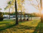 Sunlight shining through the trees at SILVER SPRINGS RV PARK - thumbnail